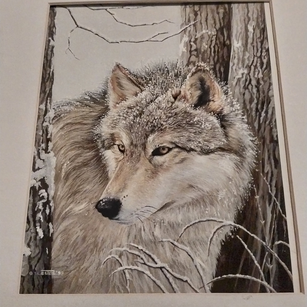 Original 8x10 Signed Wolf Portrait